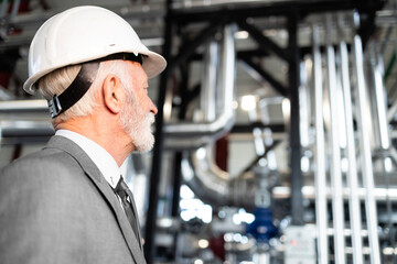 Senior ceo inspecting industrial plant production facility