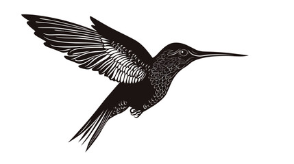 Obraz premium Hummingbird in Flight with Intricate Wing Details