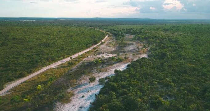 Drone tracks Cerrado dry riverbed flanked by dense native savanna vegetation mosaic with parallel dirt track weaving through flat plateau expanse under hazy sky.