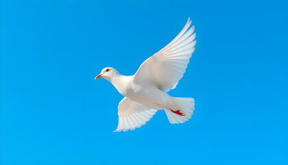 White dove flying against a clear blue sky  