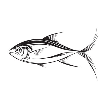 Hand-drawn engraving style of a sleek, fork-tailed fish.