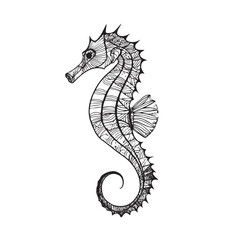 Fototapeta premium Hand-drawn engraving style of a textured seahorse.
