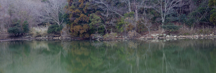 兵庫県・赤穂市冬のまこも池の風景