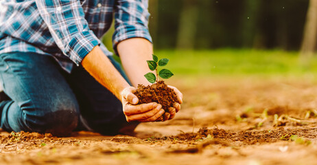 A farmer kneels with a new plant before planting it in a field. An agronomist plants a seedling in fertile soil. The concept is farmer, gardening, and ecology.