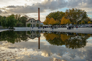  Group Young People Watching