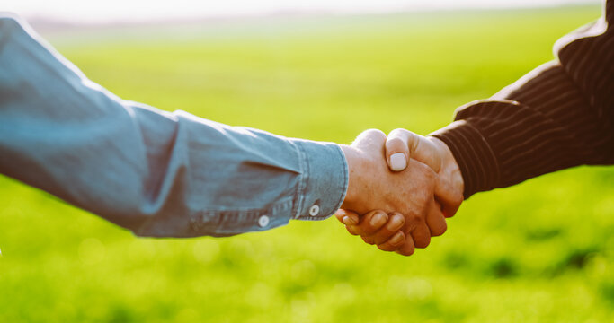 A close-up of two farmers shaking hands against a backdrop of a green agricultural field. Two agronomists shaking hands at sunset. Concept: agriculture, farming, business. Agreements.