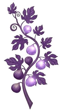 Elegant Purple Fig Branch With Fruit Botanical Illustration Art