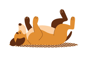 Playful Brown Dog Lying on Its Back on a Rug, pet happiness concept