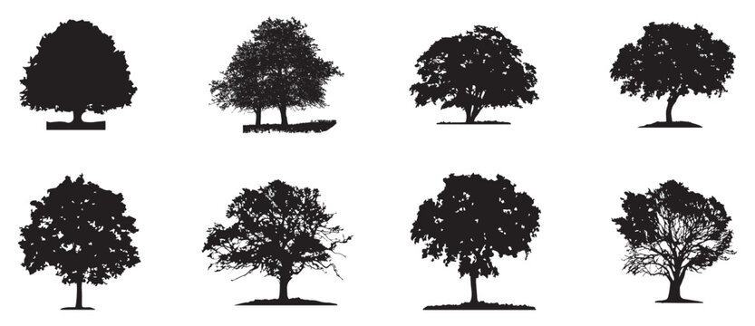 Black cartoon tree collection set. Fir Tree silhouettes. Vector nature elements, forest tree illustrations, landscape design assets, eco foliage graphics. Isolated on white background.