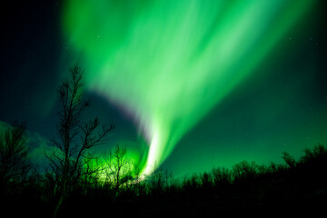 Vibrant green Northern Lights iluminating the starry sky, cosmic phenomenon © Kinga