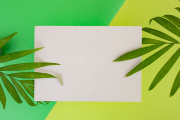 Grey rectangular card podium or business card on two tone green background with palm leaves, abstract empty display