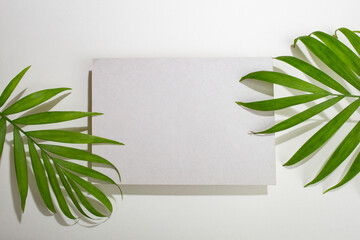 Grey rectangular card cement podium or business card on gray  background with palm leaves and shadows, abstract empty display