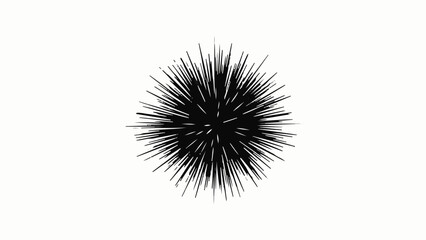 Fototapeta premium A stark black sea urchin with sharp spines stands out against a clean white background.