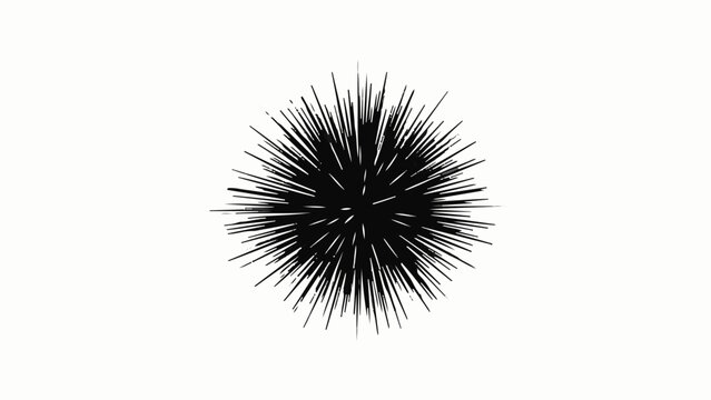 A stark black sea urchin with sharp spines stands out against a clean white background.