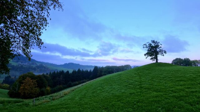 Idyllische Morgenlandschaft &ndash; sanfte H&uuml;gel, gr&uuml;ne Wiesen, farbenfroher Himmel, perfekte Auszeit in der Natur, Ruhe, Morgenstimmung, Weitblick, Landschaft, wandern, Schwarzwald, l&auml;ndliche Szene
