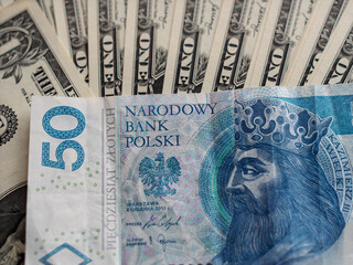 Currency Exchange: Polish Zloty and US Dollars Comparison