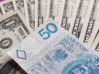 Currency Exchange: Polish Zloty and US Dollar Notes