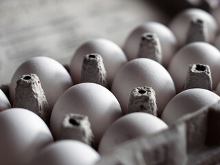 Fresh Organic Eggs in a Cardboard Carton