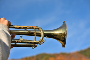 青空と紅葉を背景にしたトランペット