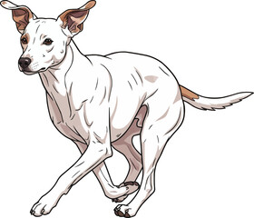 Obraz premium Porcelaine dog running energetic athletic movement motion
