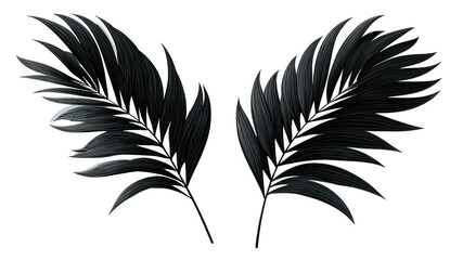 Obraz premium Two stylized, dark palm fronds against a stark black backdrop. Elegant, minimalist botanical art
