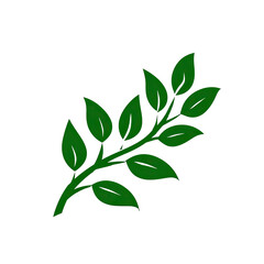 Simple green plant branch on a black background. Leaves are neatly arranged