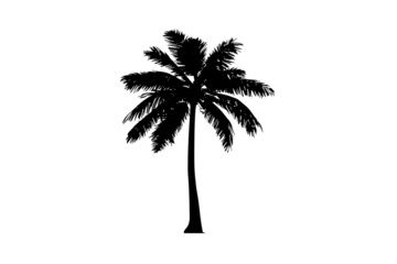 Dark night scene featuring a burst of sparkling lights resembling a flower in the center