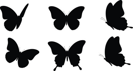 Stylized butterfly silhouette set, diverse wing shapes and body structures, black insect graphic, vector nature illustration