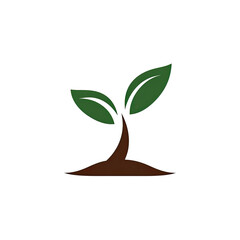 A sprout with two leaves emerging from brown soil against a stark black background