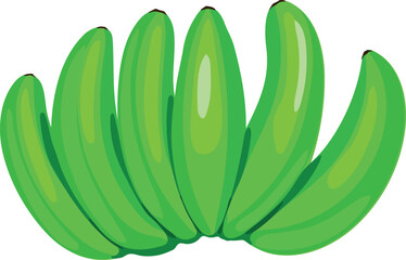 A bunch of green unripe bananas isolated on white background