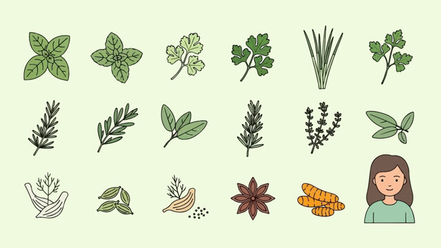 Collection of fresh herbs, spices, and vegetables with a cartoon woman illustration
