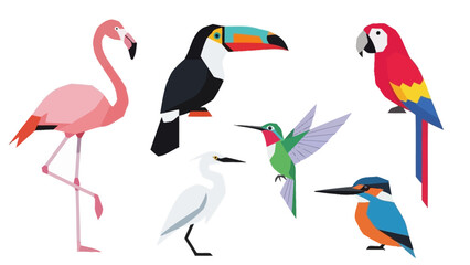 Fototapeta premium Exotic Birds Collection: Flamingo, Toucan, Parrot, Hummingbird, Egret, Kingfisher