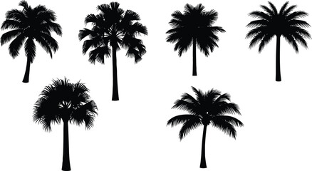 Stylized palm tree silhouette set, varied frond shapes and trunk curves, black tropical vector graphic for design use