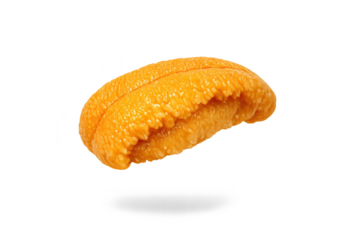 Delicious sea urchin roe, a delicacy on transparent background image