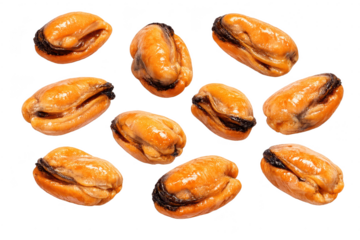 Delicious cooked mussels on a transparent background for easy editing.