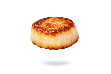 Delicious seared scallop on transparent background, seafood perfection.