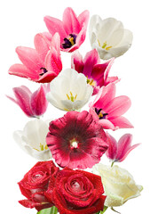 Bright flowers arranged in a bouquet with pink tulips, white tulips, red roses, and water droplets
