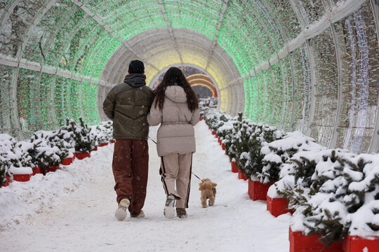 Couple walking a dog in winter park. Leisure at cold snow weather