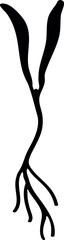 Black silhouette of carrot sprout on white background