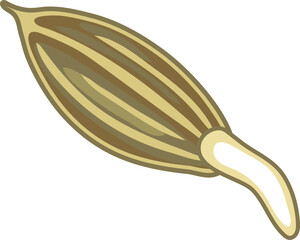 Sprouting carrot seed isolated on white background.