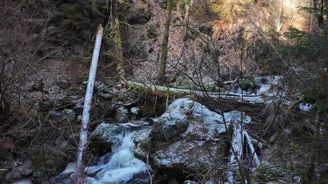 Beautiful and wild landscapes in the Ravenna Gorge in the German Black Forest