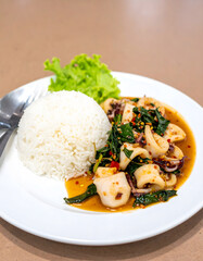 Pad Krapow Pla Muek Squid Basil Rice Plate
