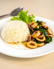 Thai Basil Stir-Fried Squid with Steamed Rice
