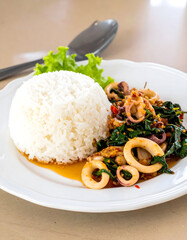 Spicy Squid Basil with White Rice Thai Street Food
