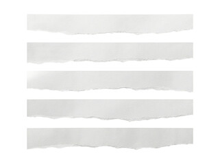 Fototapeta premium Set of 5 white torn paper strips with rough edges isolated PNG with Transparent Background