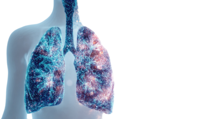 human lungs anatomy visulization with glowing particle structure respiratory system illustration isolated on white background