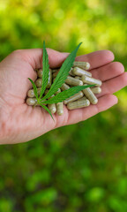 Cannabis supplements extract and oil. Selective focus.