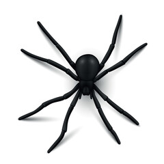 Realistic black spider isolated on white background in a vector format with detailed features and natural posture