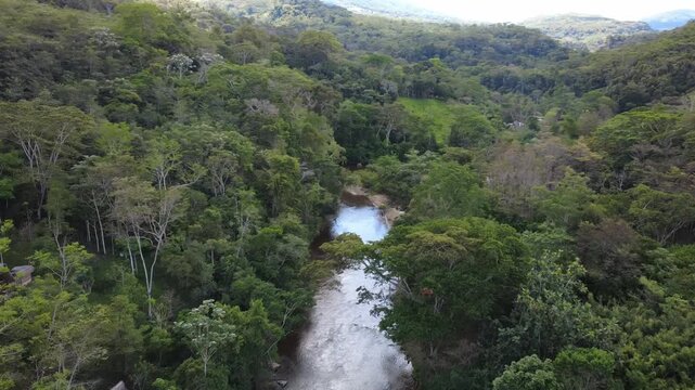 rio en la selva Amaz&oacute;nica