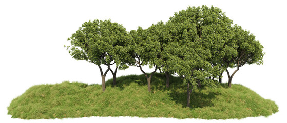 green oak tree stands on  a lush summer grass field in a peaceful nature landscape with isolated on transparent background. PNG file, 3D rendering illustration